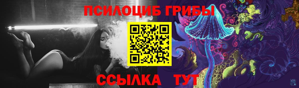 Галлюциногенные грибы Cubensis  Псилоцибиновые грибы MAGIC MUSHROOMS  Вход с VPN  даркнет сайт  Кисловодск 